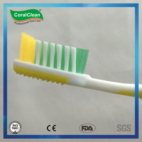 Three Colors Handle & Angled Tufted Bristles Adult Toothbrush