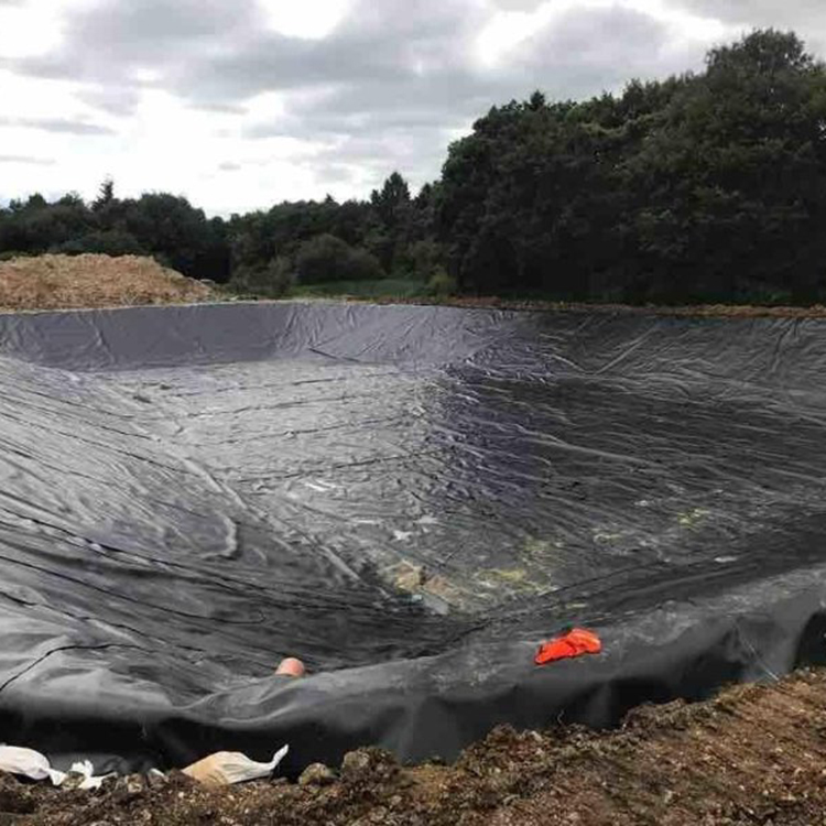 Professional manufacturers supply Newly durable hdpe geomembrane fish pond liner