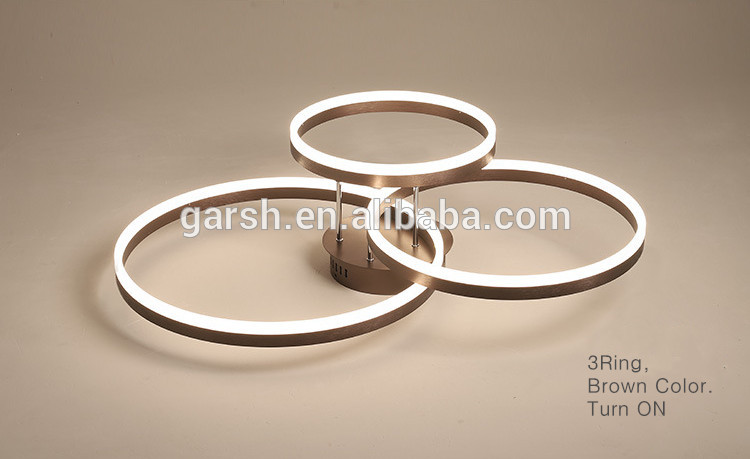 Modern LED Ring Ceiling Mounted Lights Fixture Lamparas De Techo