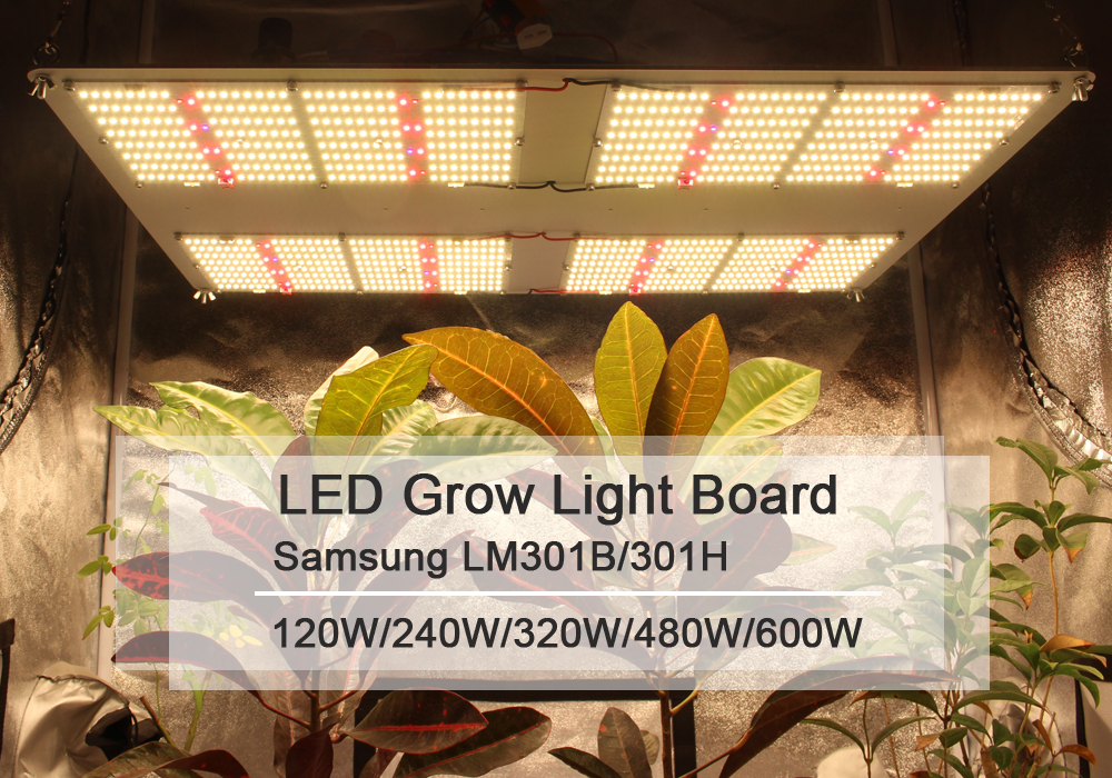 Figolite grow quantum led samsung board lm301b 3x288 320W HLG-320H-48B dimmable