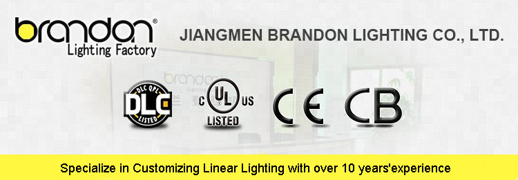 Ceiling mount fluorescent tube lamp led strip lights fit for T5/T8 light source with saa certification