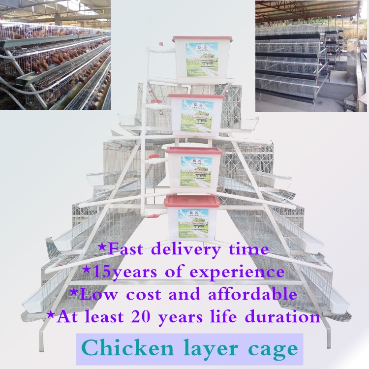 Automatic poultry  farming equipment hen chicken cage