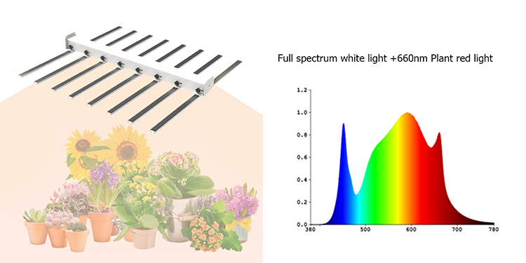 High Power Full Spectrum for Plants Growth 800w LED Grow Light