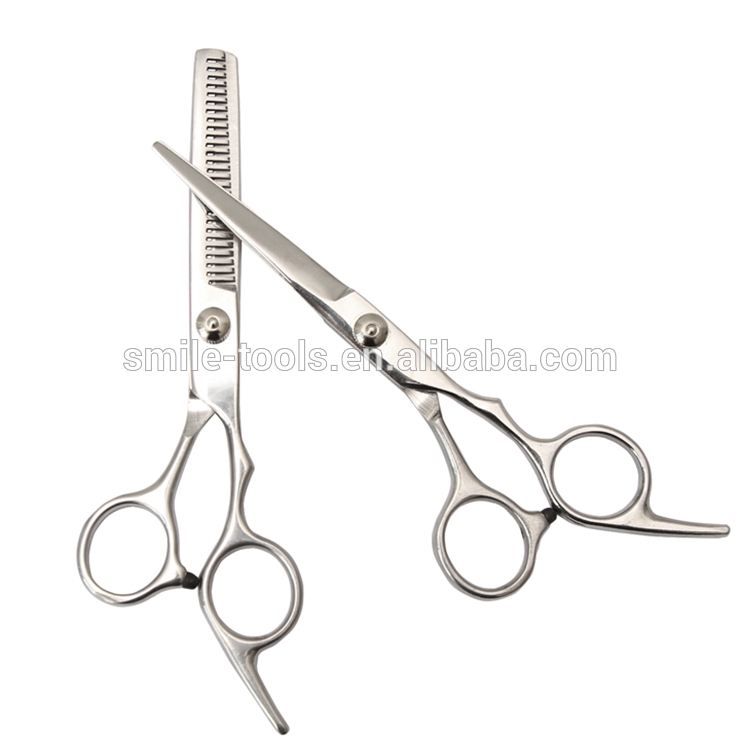 Easy to Use 4cr13 Stainless Steel Barber Salon Hair Cutting Scissors