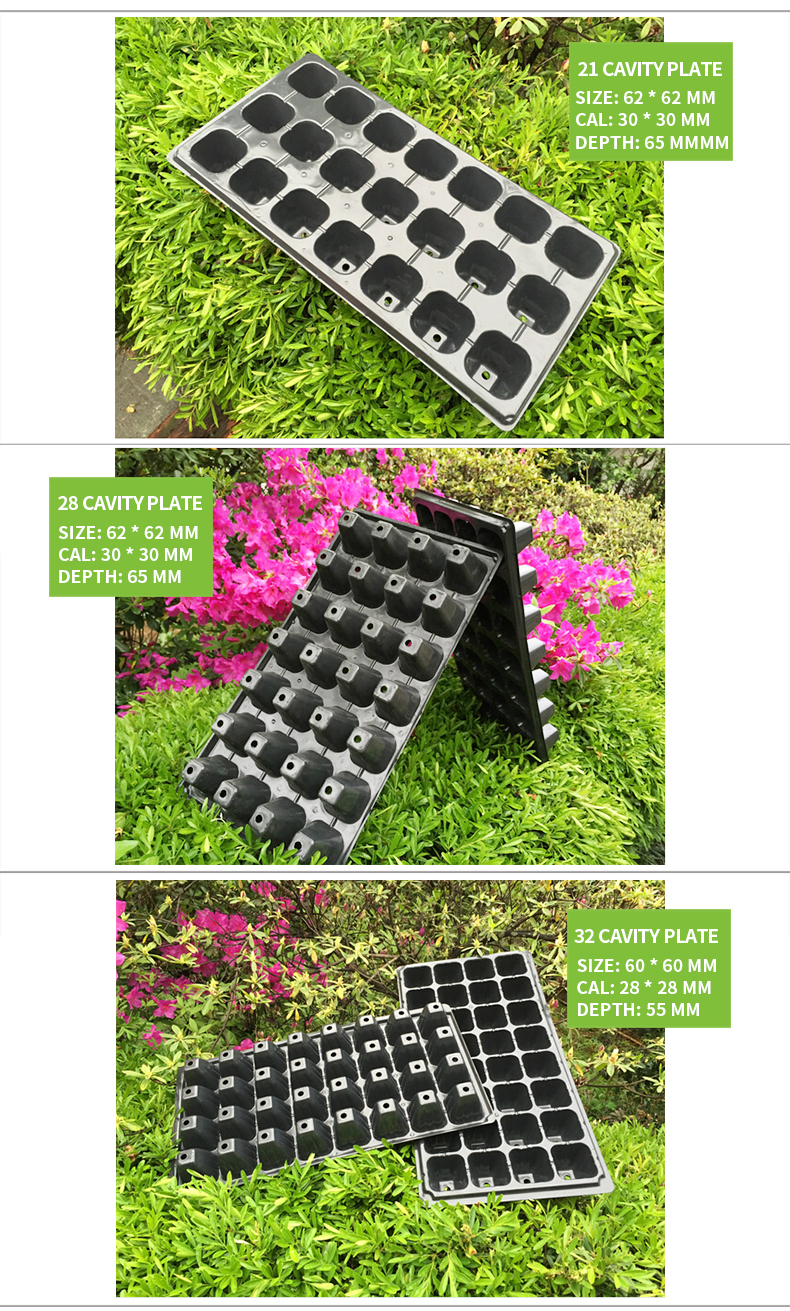 agricultural greenhouse plastic nursery seed pot seeding tray cells plug tray plastic seeding tray