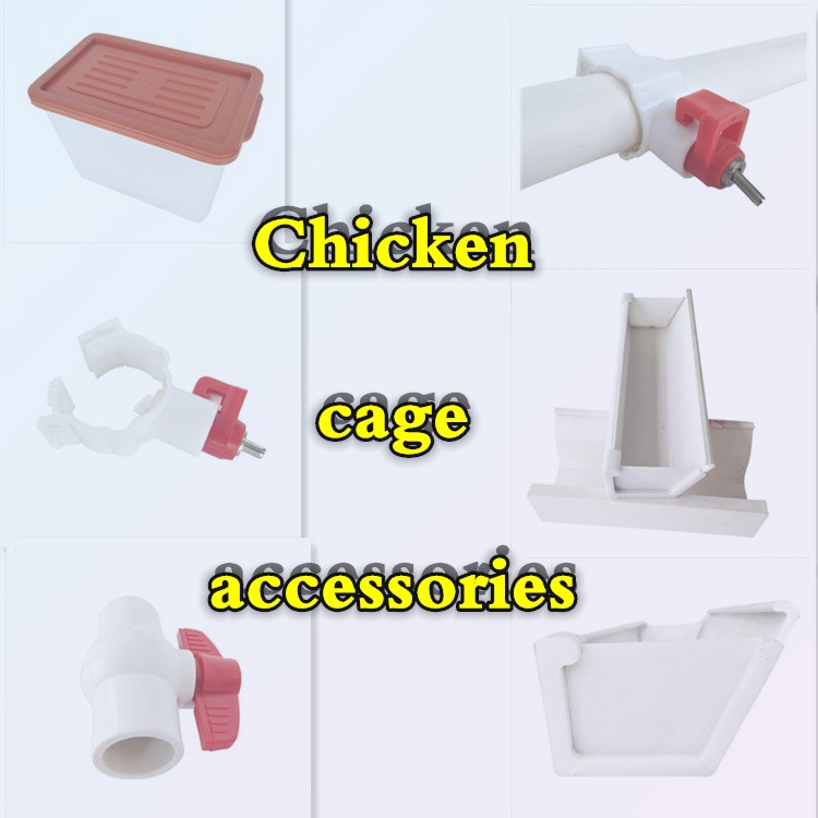 Best sale poultry design chicken egg layer cages