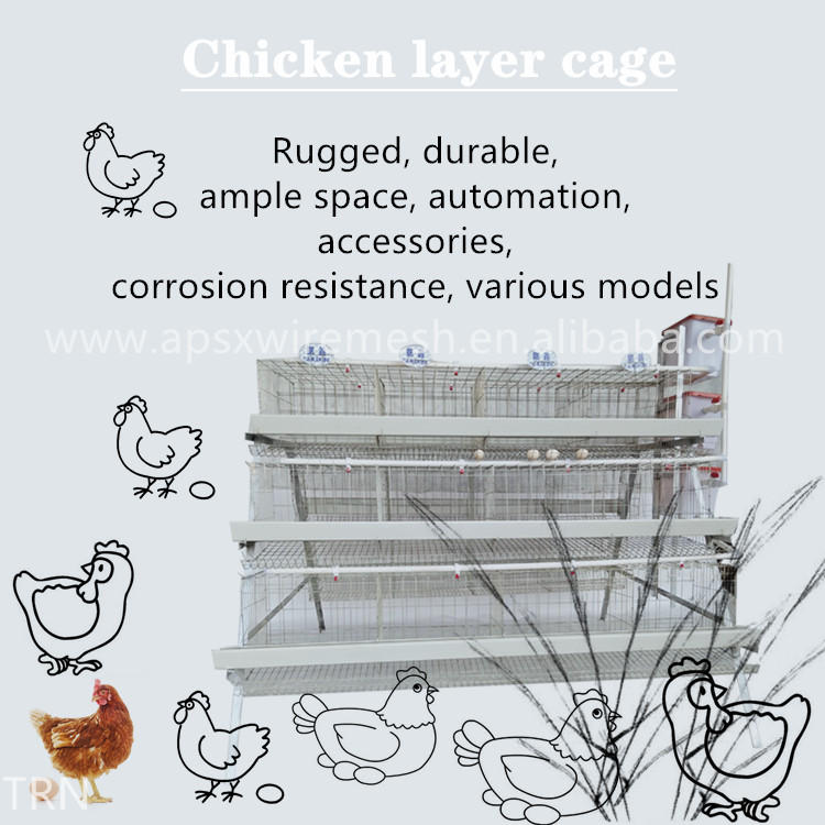 Easy-to-clean animal chicken layer cages for sale