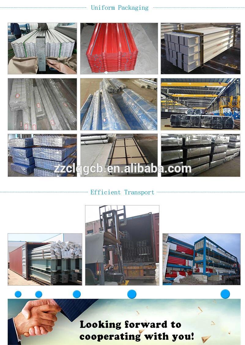 Canglong Steel structure building warehouse workshop hangar design and sale