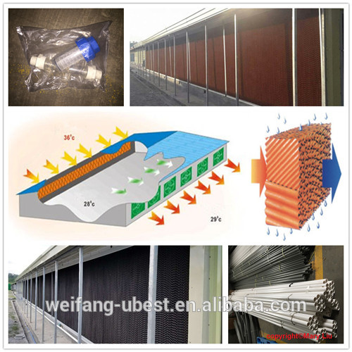 Chinese steel structure building prefab chicken house poultry farm