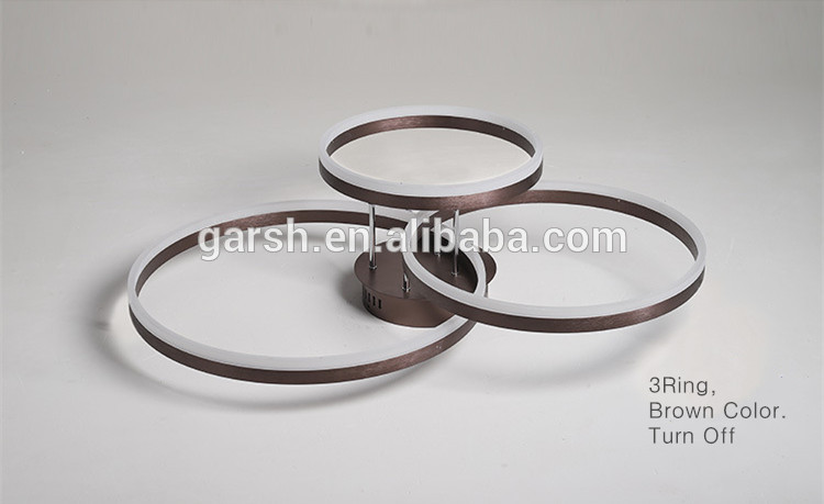 Modern LED Ring Ceiling Mounted Lights Fixture Lamparas De Techo