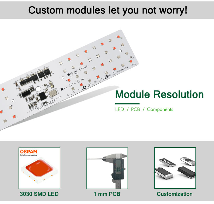 Blue Red AC 50W Epistar Horticulture LED Module For LED Grow Light