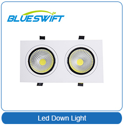 Plastic Housing Recessed Ceiling LED Downlight Down Light in Low Best Price