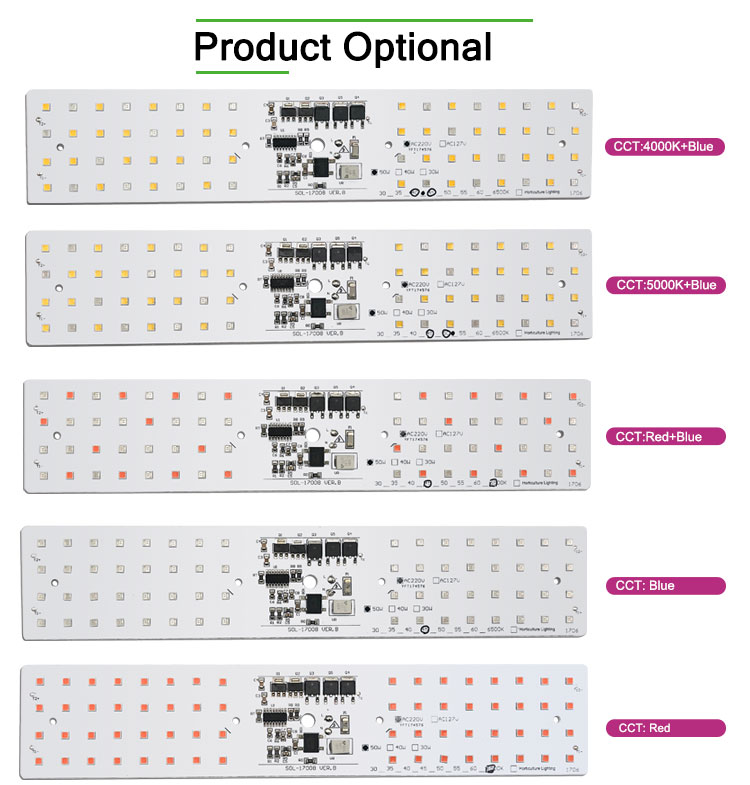 Blue Red AC 50W Epistar Horticulture LED Module For LED Grow Light