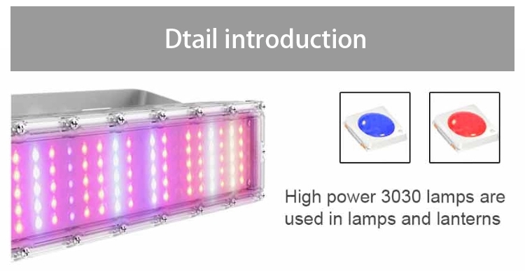 60W IP65 Die Cast aluminum  Agricultural Hydroponic Outdoor Light Led Grow Light Tunnel for Leafy Vegetables and plants