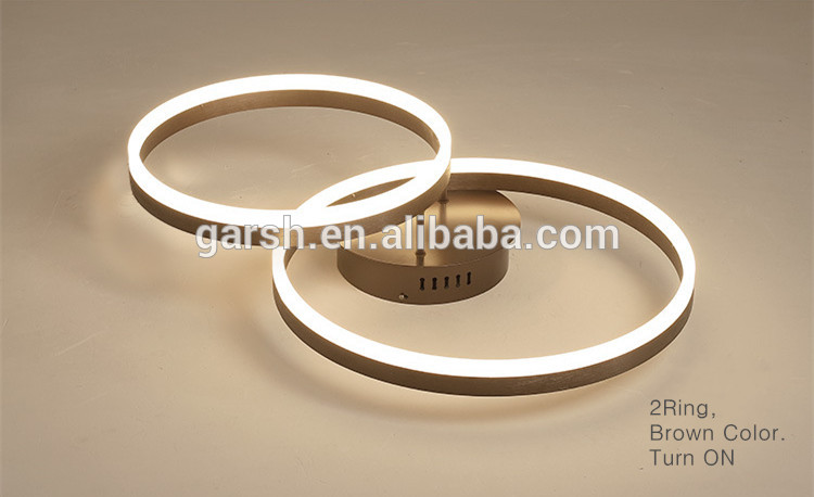 Modern LED Ring Ceiling Mounted Lights Fixture Lamparas De Techo