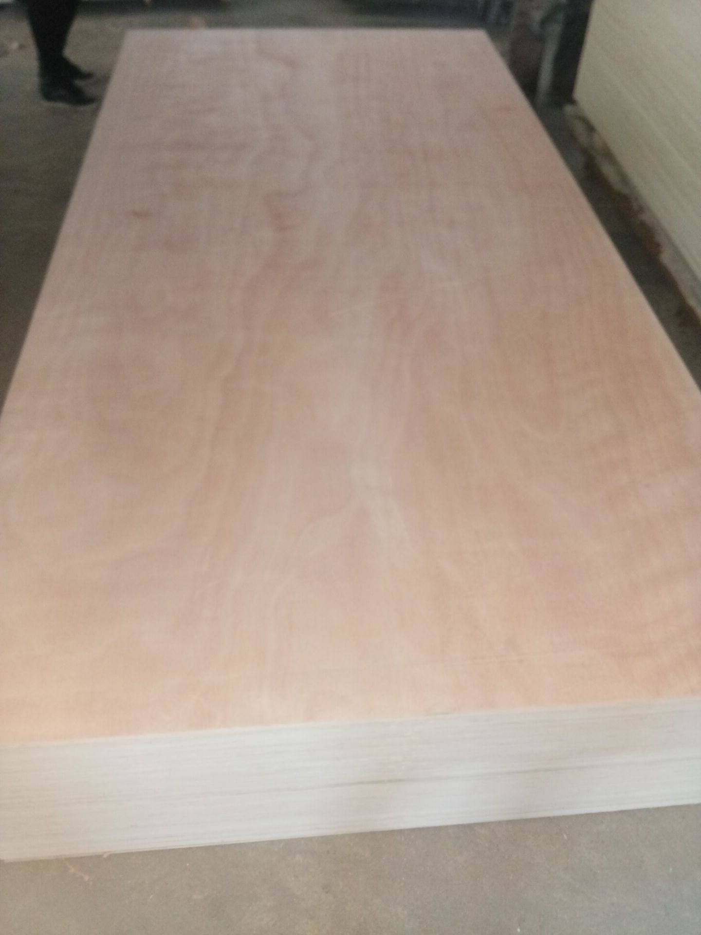 packing grade plywood/poplar core okoume veneered packing plywood