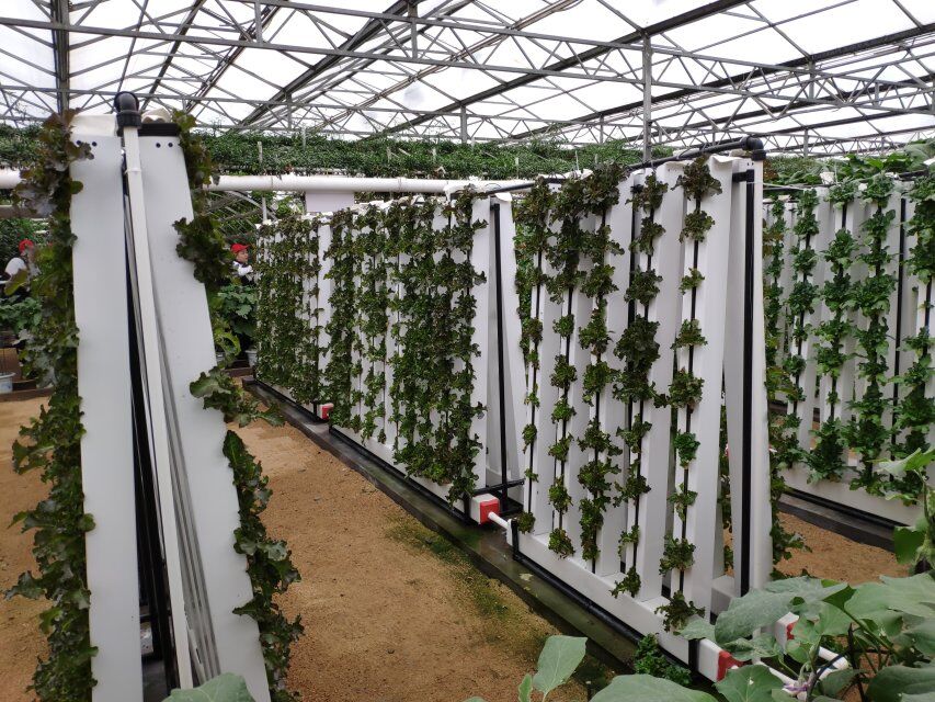 Wholesale Growing MEDIA HYDROPONICS AEROPONICS AQUAPONICS Lettuce Tower Pipes SEED SPONGES