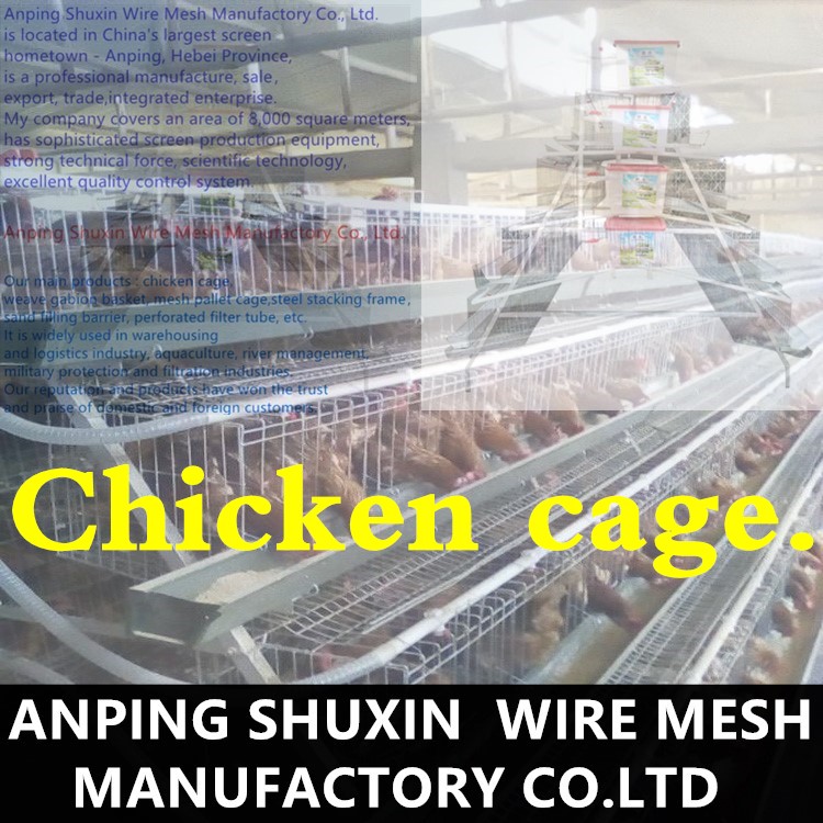 Best sale poultry design chicken egg layer cages