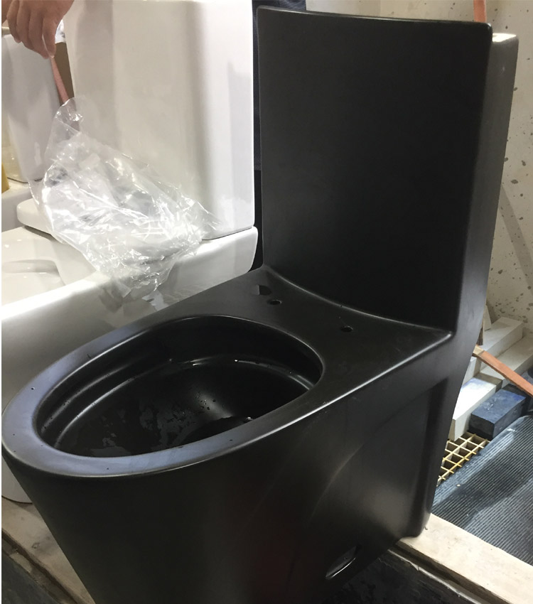 matte black ceramic toilet, elongated one piece toilet, cUPC toilet CL-12011YA for US market