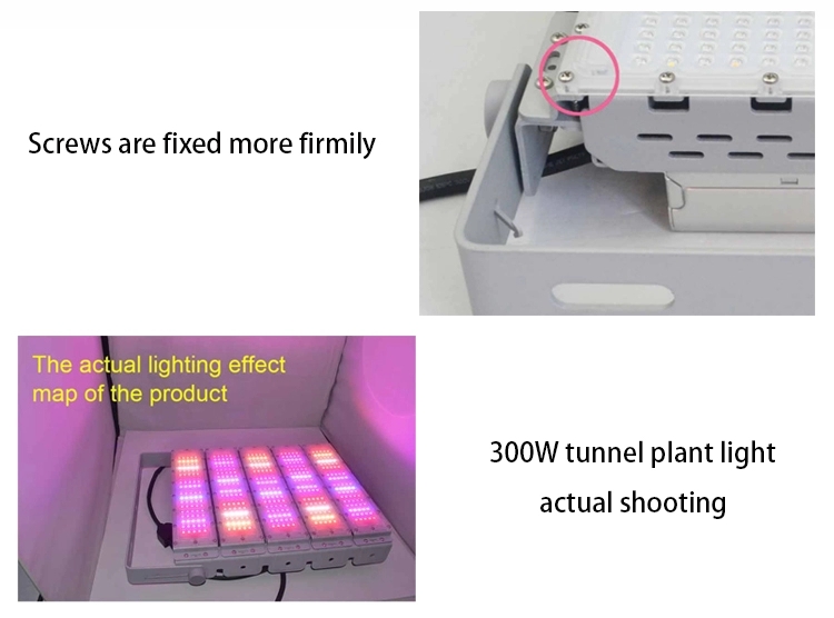 60W IP65 Die Cast aluminum  Agricultural Hydroponic Outdoor Light Led Grow Light Tunnel for Leafy Vegetables and plants