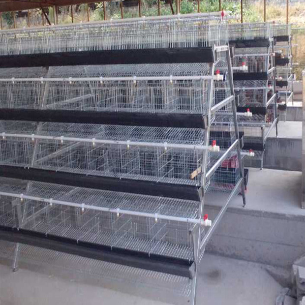 Hot-dip galvanized poultry chicken cage for sale