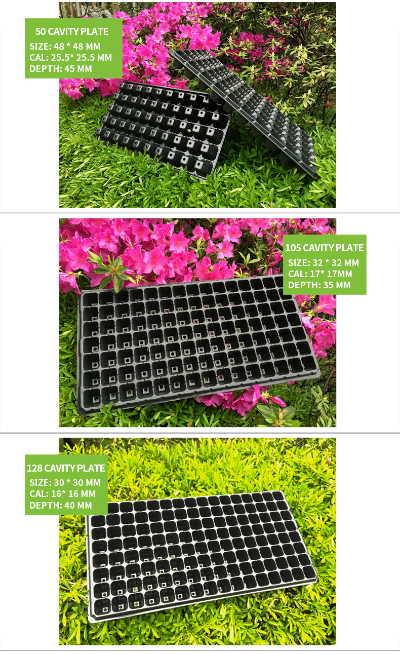 agricultural greenhouse plastic nursery seed pot seeding tray cells plug tray plastic seeding tray