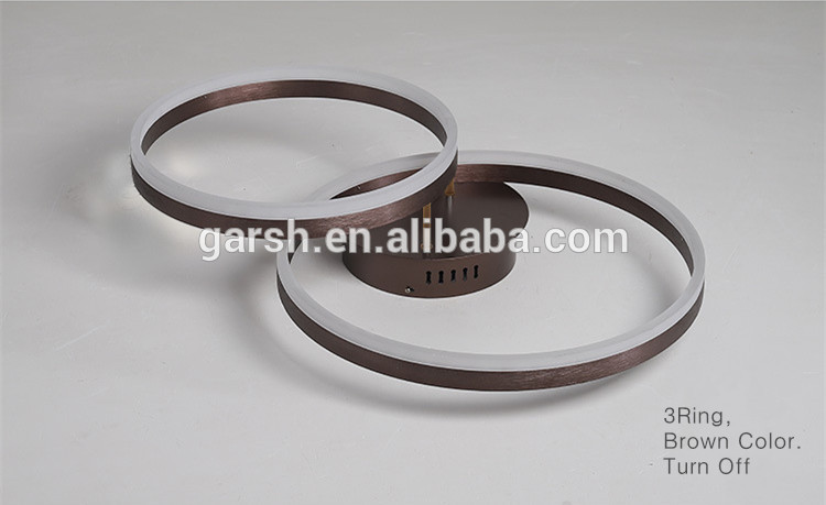 Modern LED Ring Ceiling Mounted Lights Fixture Lamparas De Techo