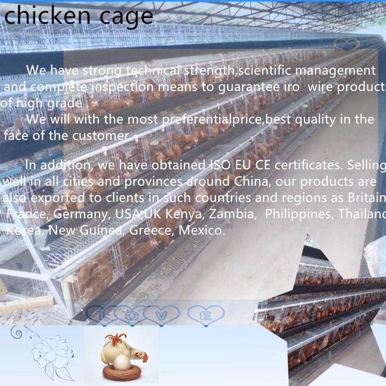 Hot-dip galvanized poultry chicken cage for sale