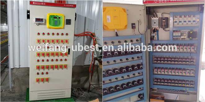 chinese supplier broiler chicken farming equipment for meat production