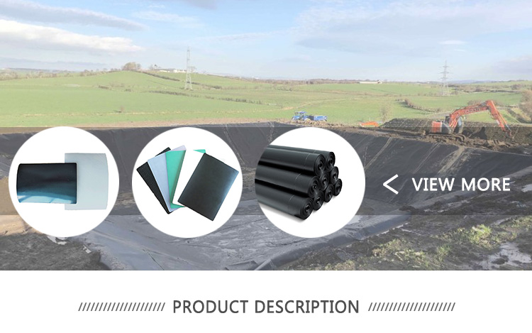 Professional manufacturers supply Newly durable hdpe geomembrane fish pond liner