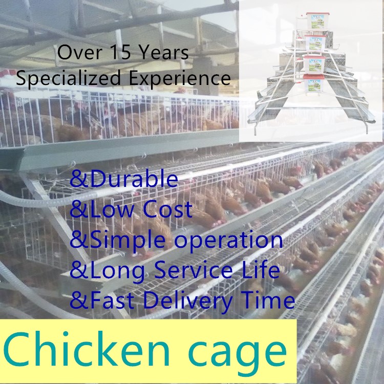 Battery galvanized  automatic  chicken layer cage for farm