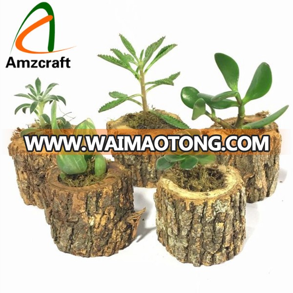 Wholesale OEM Driftwood Log Planter Wood Flower Pots