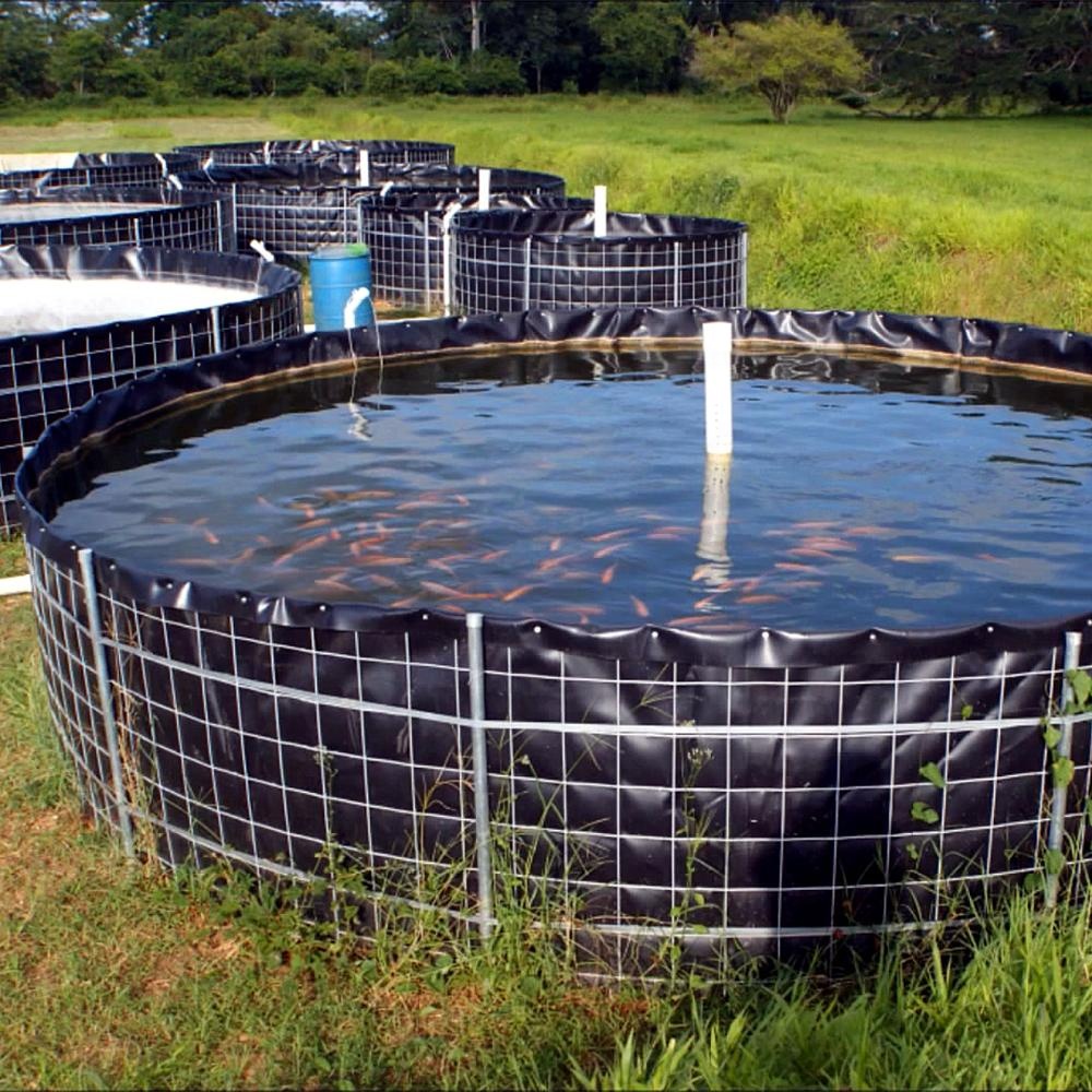 Shrimp Farm  Geomembrane Hdpe  Plastic Fish Farm Tank  Biofloc Fish Tank