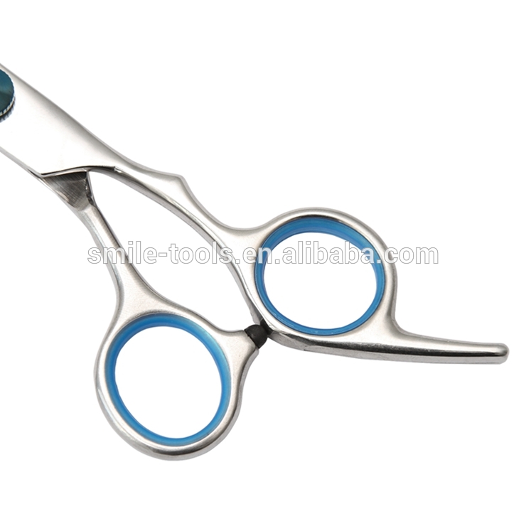 Easy to Use 4cr13 Stainless Steel Barber Salon Hair Cutting Scissors