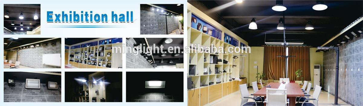 DLC ETL slim LED Flood Light 30w 50W  IP65  outdoor flood led light