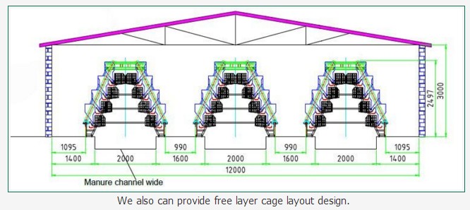 Labor Saving Kenya Poultry Farm Chicken Battery Layer Cages for laying hens