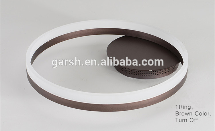 Modern LED Ring Ceiling Mounted Lights Fixture Lamparas De Techo