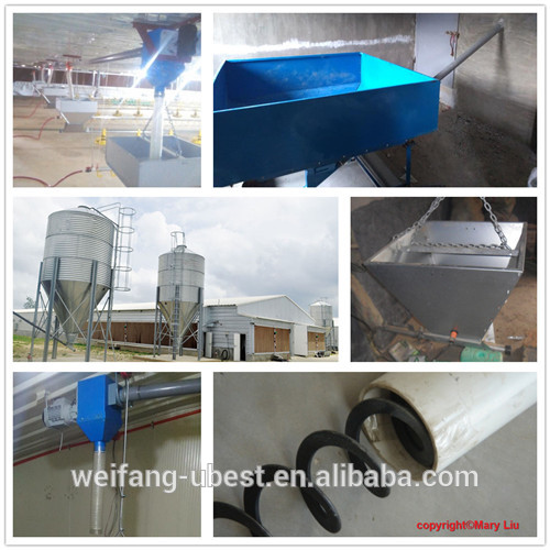 Chinese steel structure building prefab chicken house poultry farm