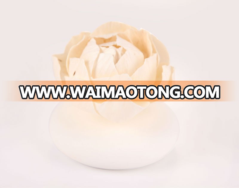 100ml Classical Ceramic flower Reed diffuser for home living room aroma fragrance