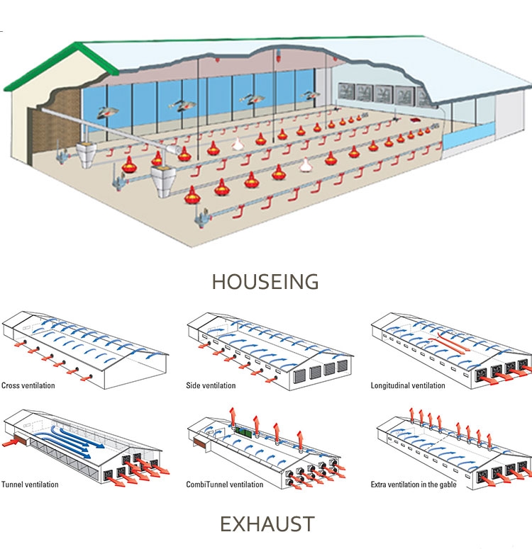 New Design The Chicken House Coops Company