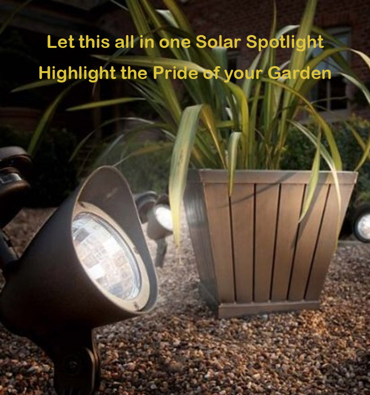 Best Selling Solar Light Garden with 8LED