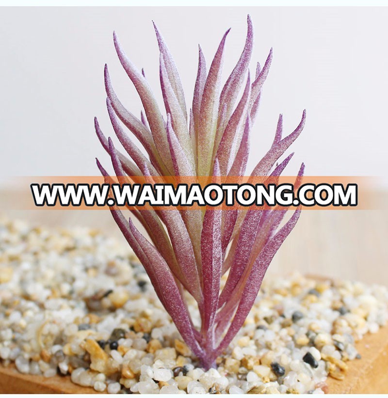 Factory fake plants artificial plastic flocking flower succulent plants for home garden decoration