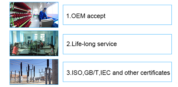 15 kv all insulation and tangibly type plug-in lightning arrester core  with GB/IEC Standard Certification