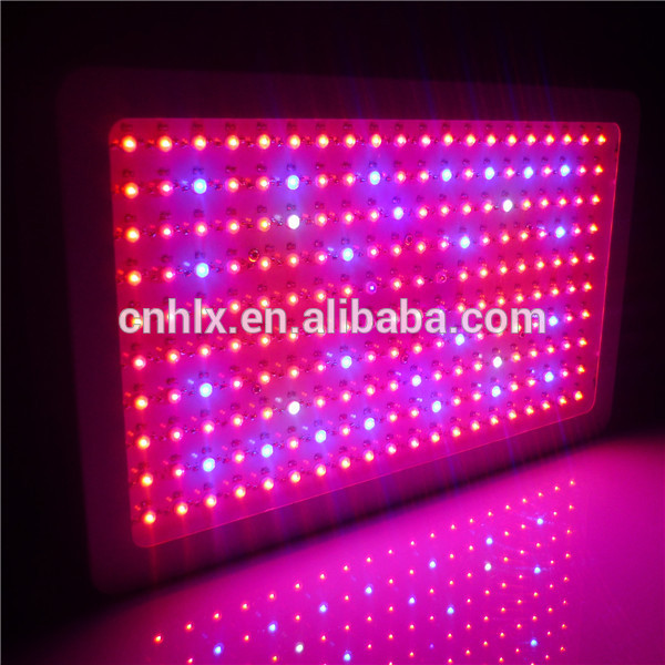 Commerical Greenhouse growing 9 wavelength bands full spectrum 600w cherry peppers E.shine Led Grow Light