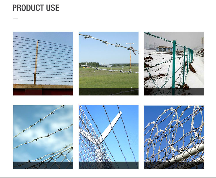 Single Barbed Wire