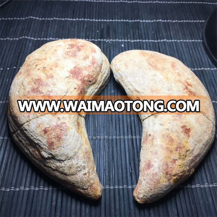 Natural Madagascar Concretion Stone Fish Fossil For Sale