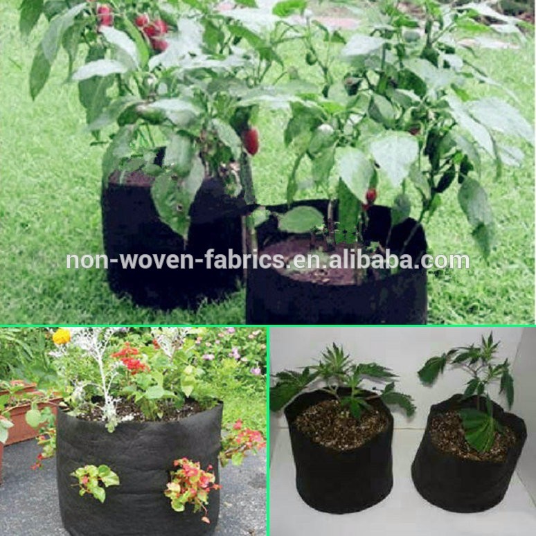 Black brown nonwoven fabric root pouch nursery pot used for gardening