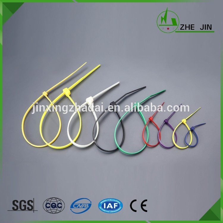 Zhe Jin China Manufacturers High Quality Originality Self Locking Plastic Stainless Steel Cable Tie