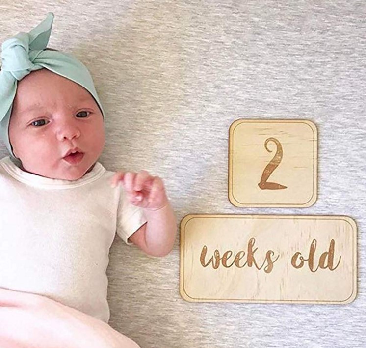 Milestone Cards, Baby's First Year, Monthly Photo Picture Props