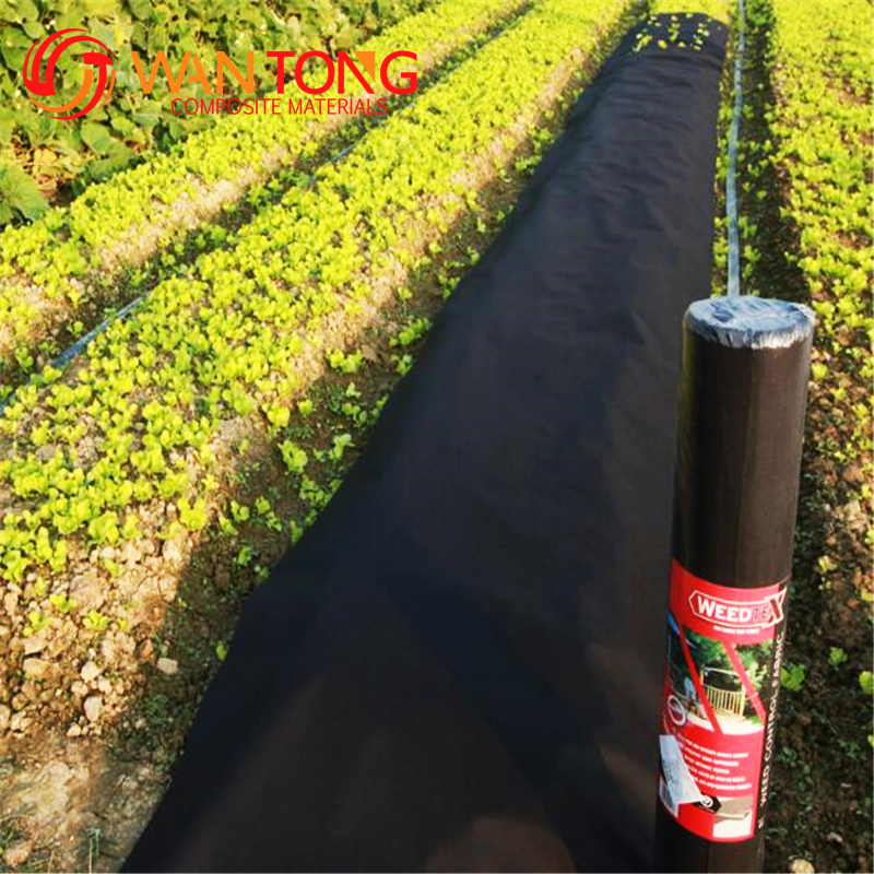 weed control mat biodegradable ground cover